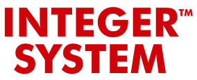 integer system mehsana